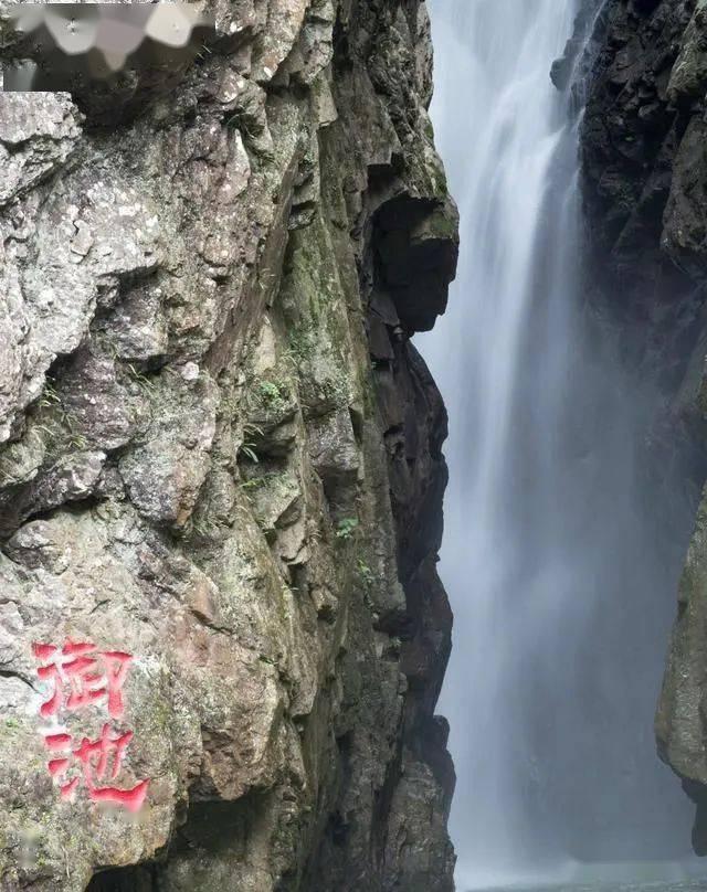 蓝狐视频