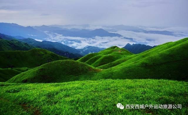 <strong>冷知识分享平台粗面怎么调好吃窍门?,揭示你所不知道的知识</strong>